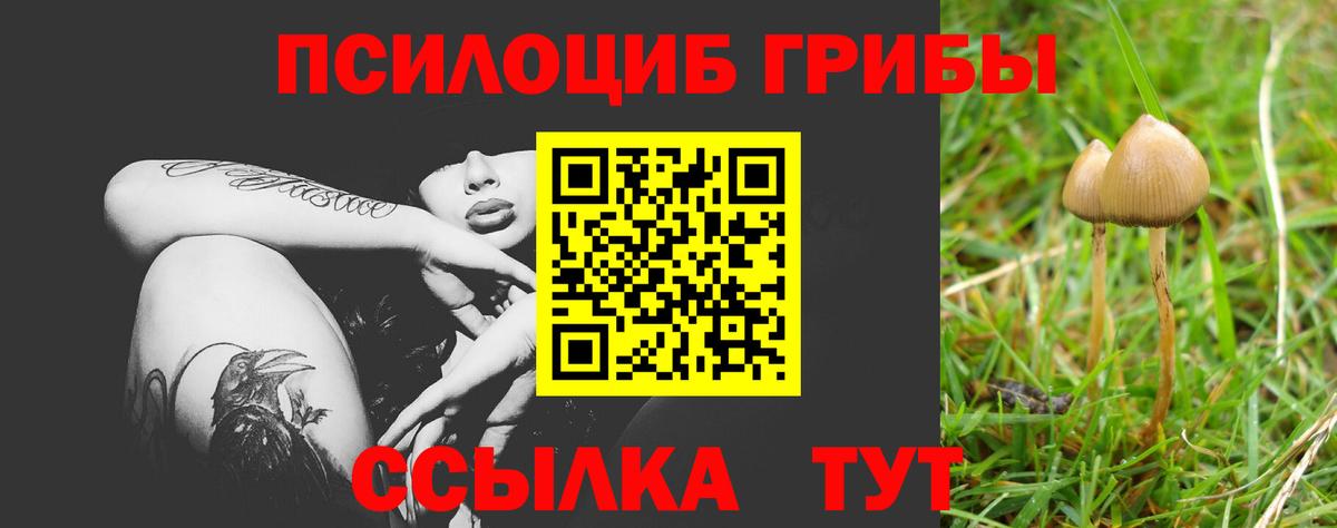 Псилоцибиновые грибы Magic Shrooms Лобня